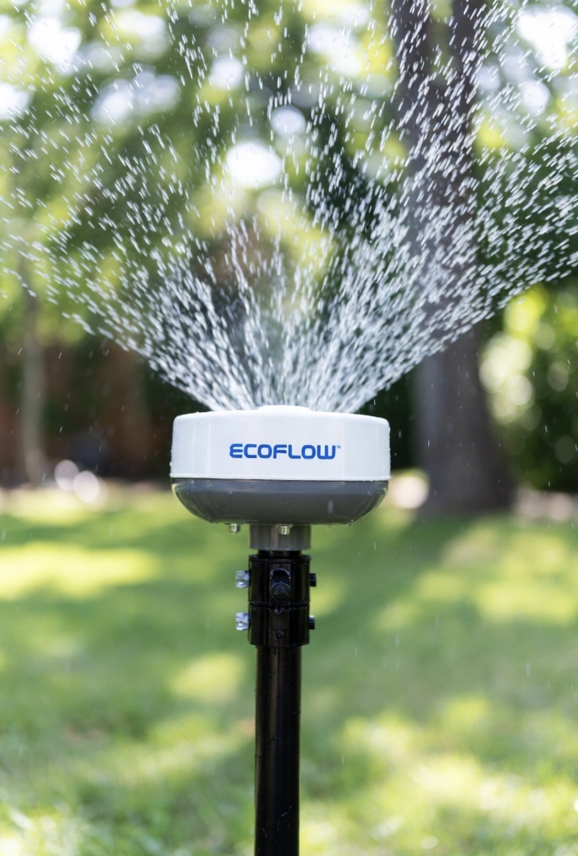 Products We Want 46, sprinkler