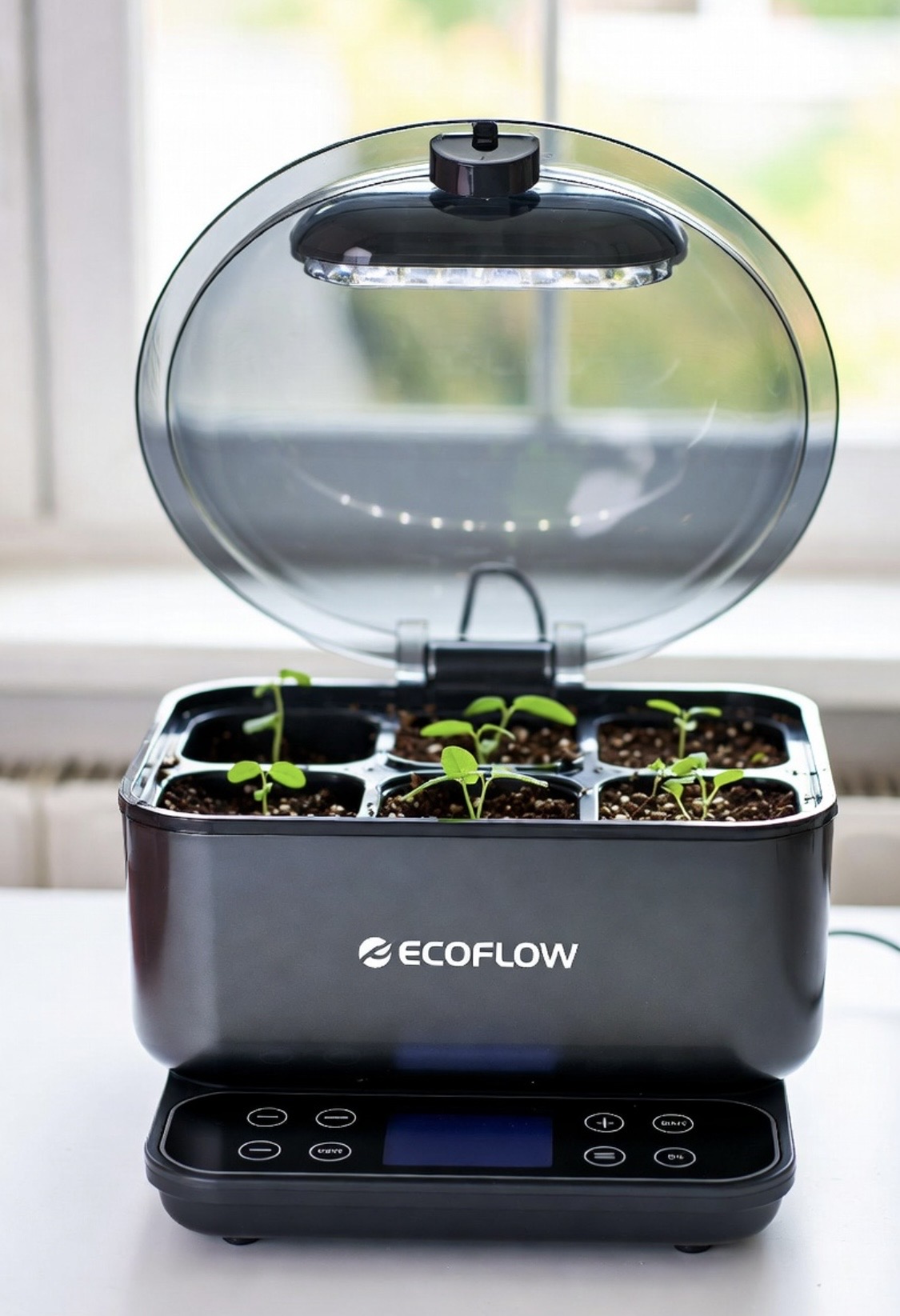 Products We Want, 60, Seed Starter