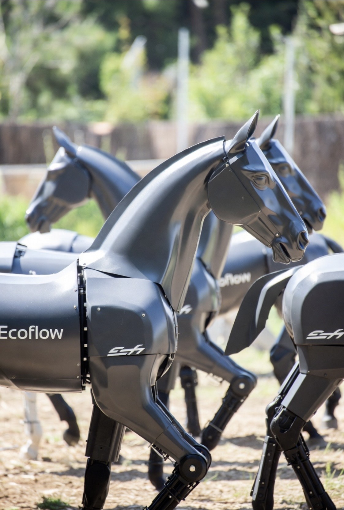 Products We Want, 72, robot horses