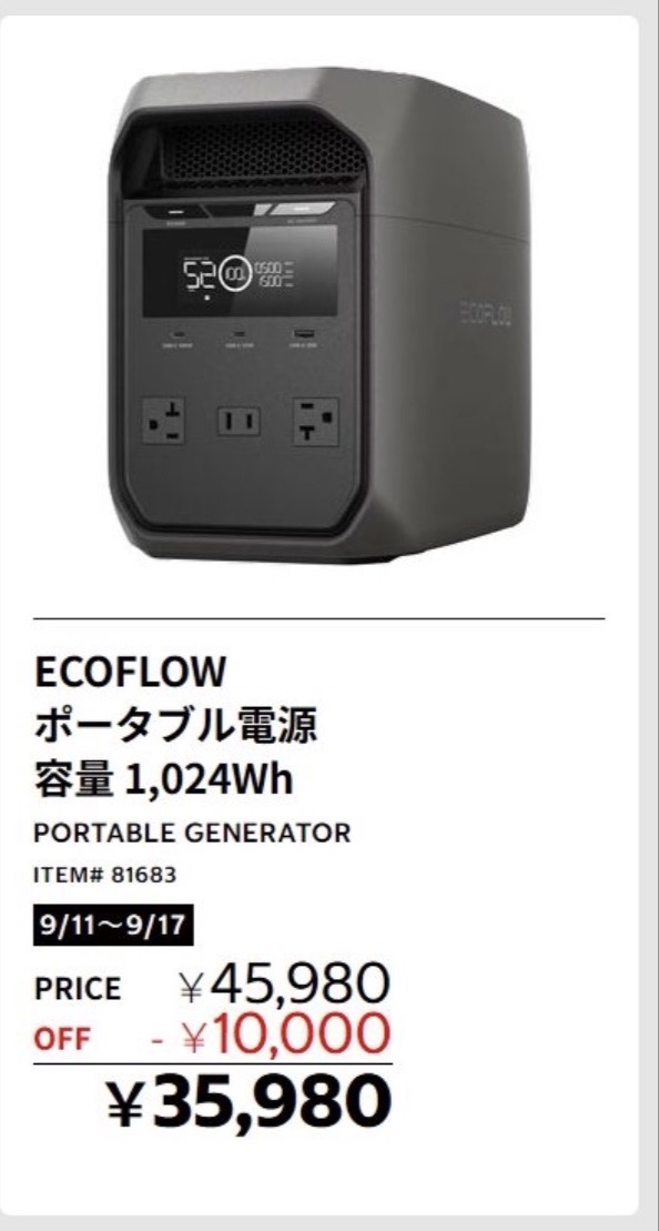 Which team are you: "One Large Power Station (e.g., DELTA Pro 3)" or "Multiple 1k/2k Units"?
